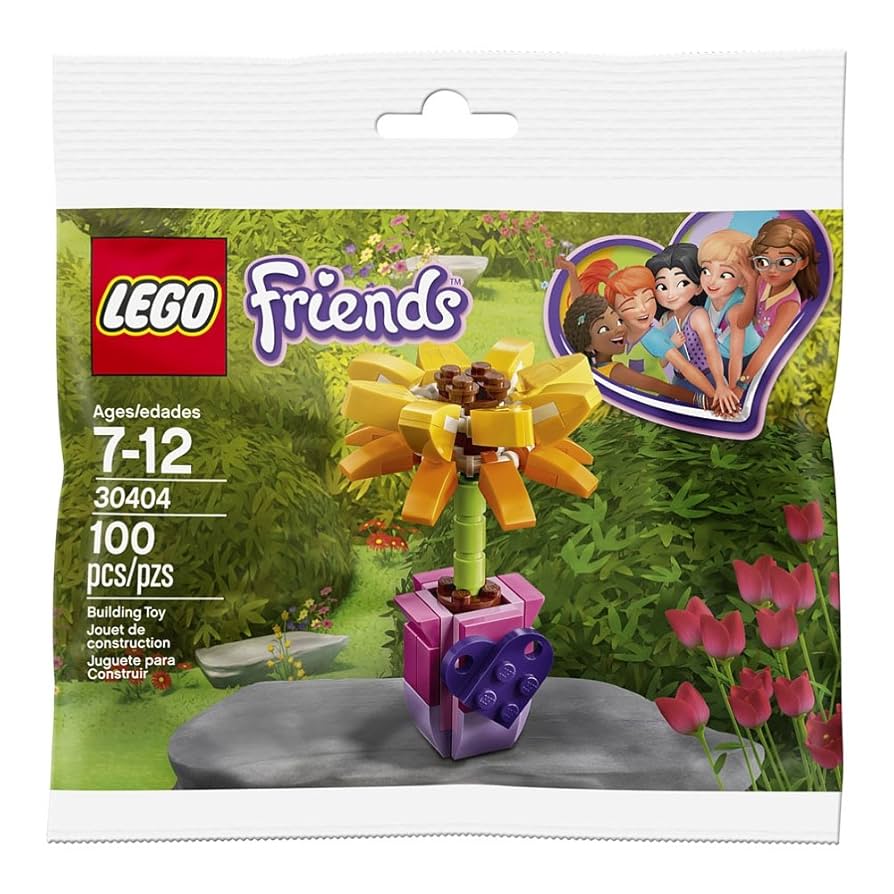 Croisé DVD付き　セット Amazon.com: LEGO Friends 30404 Daisy Flower in Box (100 pc